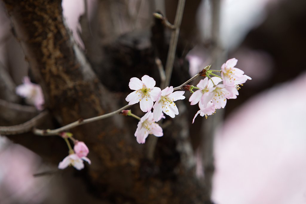 EF70-200mm F2.8 L