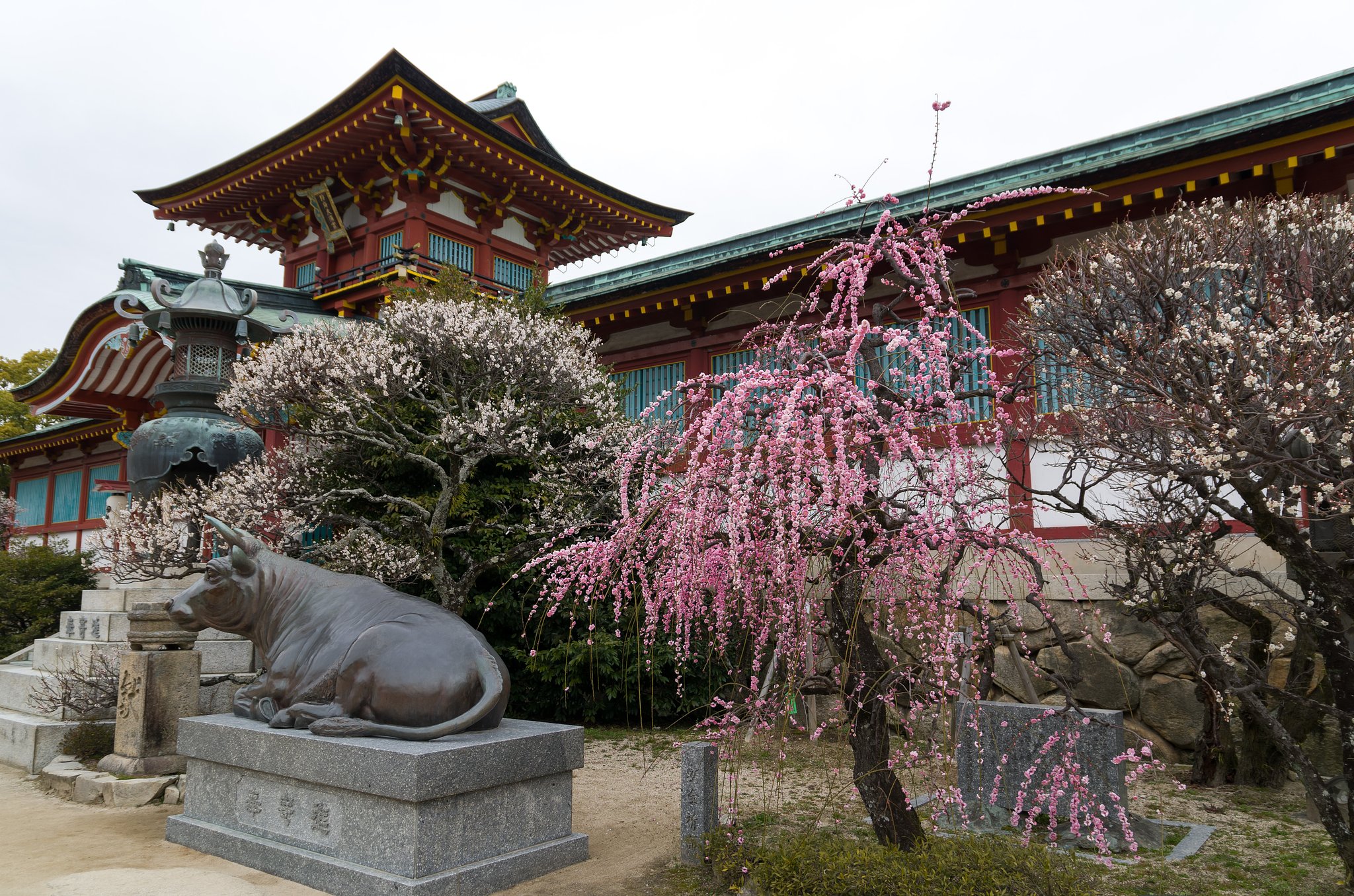 天神セット