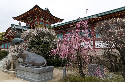 天神セット