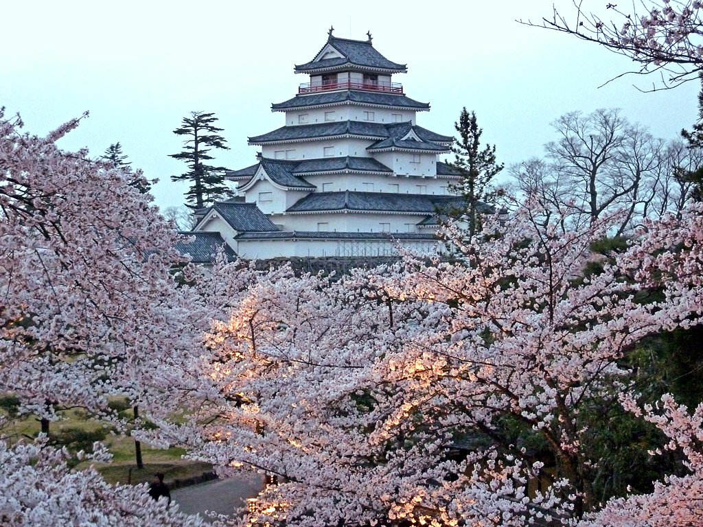 【フリー】 　ここも綺麗だった