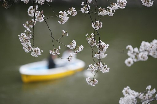 『春』今月は賑やかでしたね。