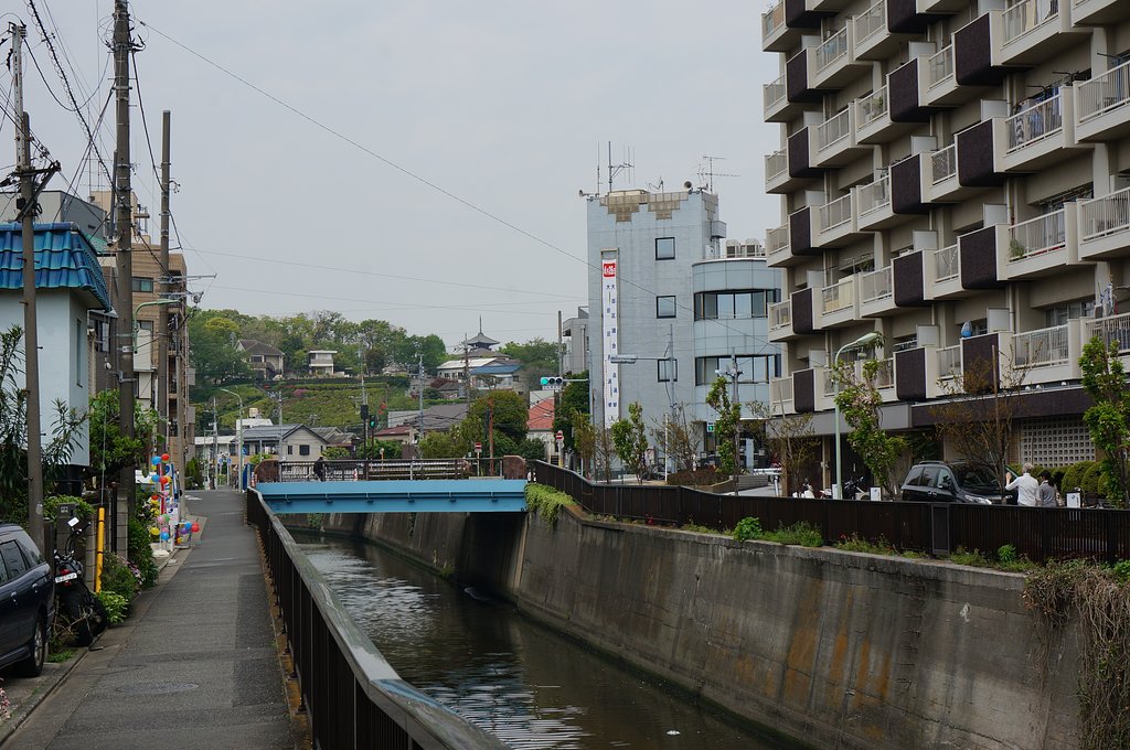 呑川と本門寺山