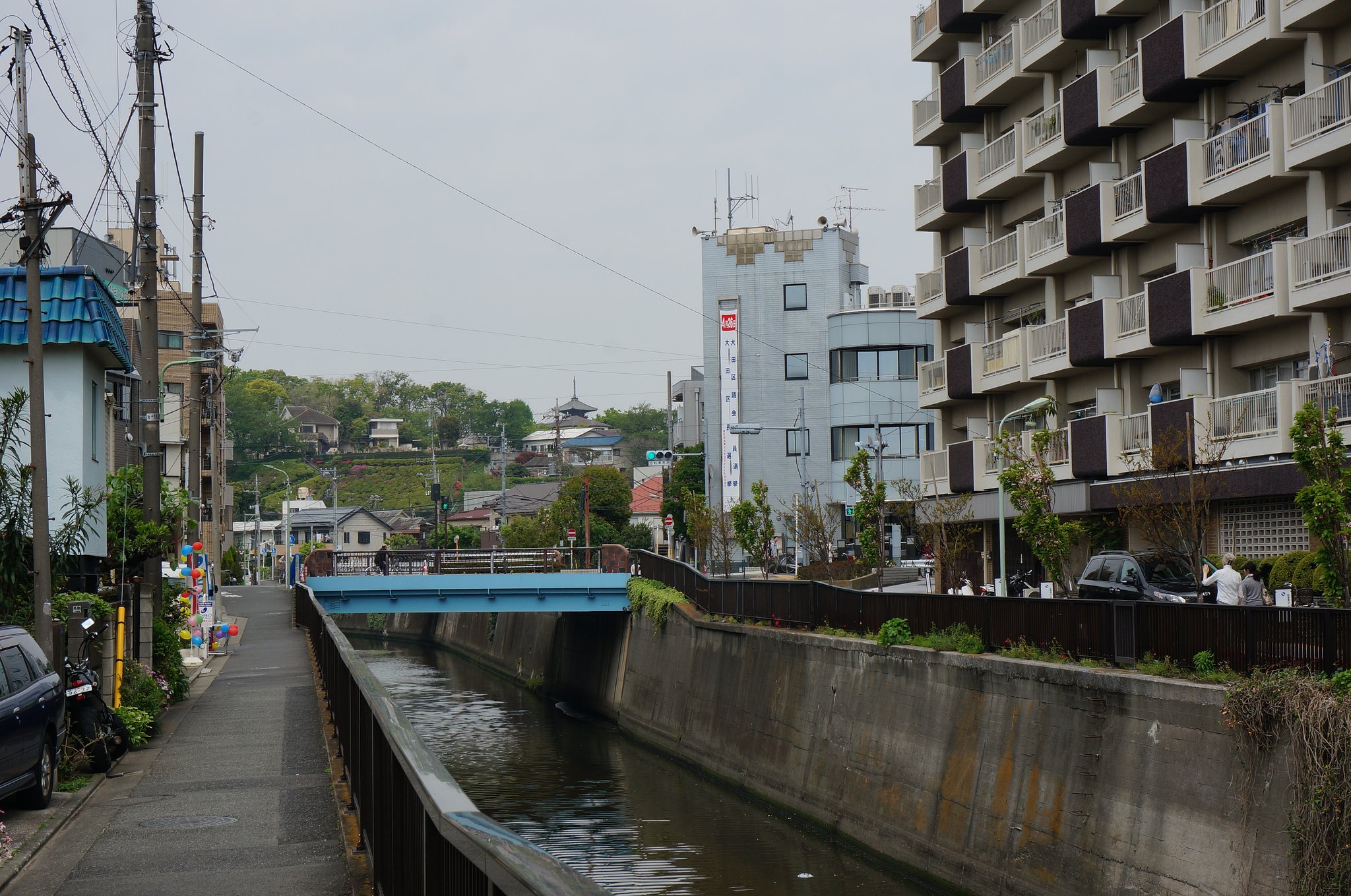 呑川と本門寺山