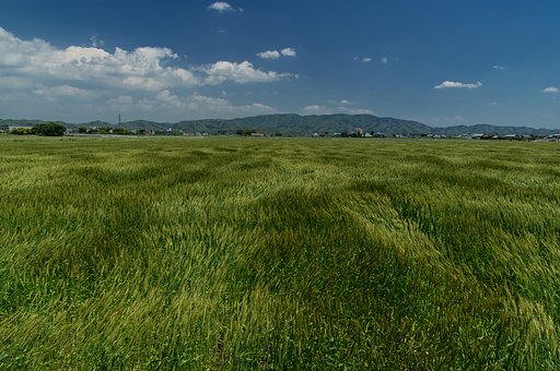 5月16日の写真