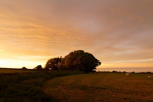 キャンプ場の夕暮れ