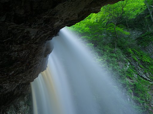 7月19日の写真