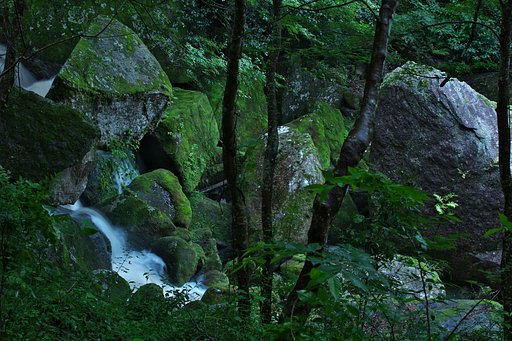 苔むした奇岩たち