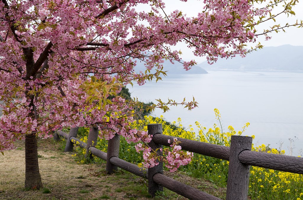 春の海