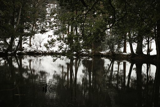 静かさ写す水鏡
