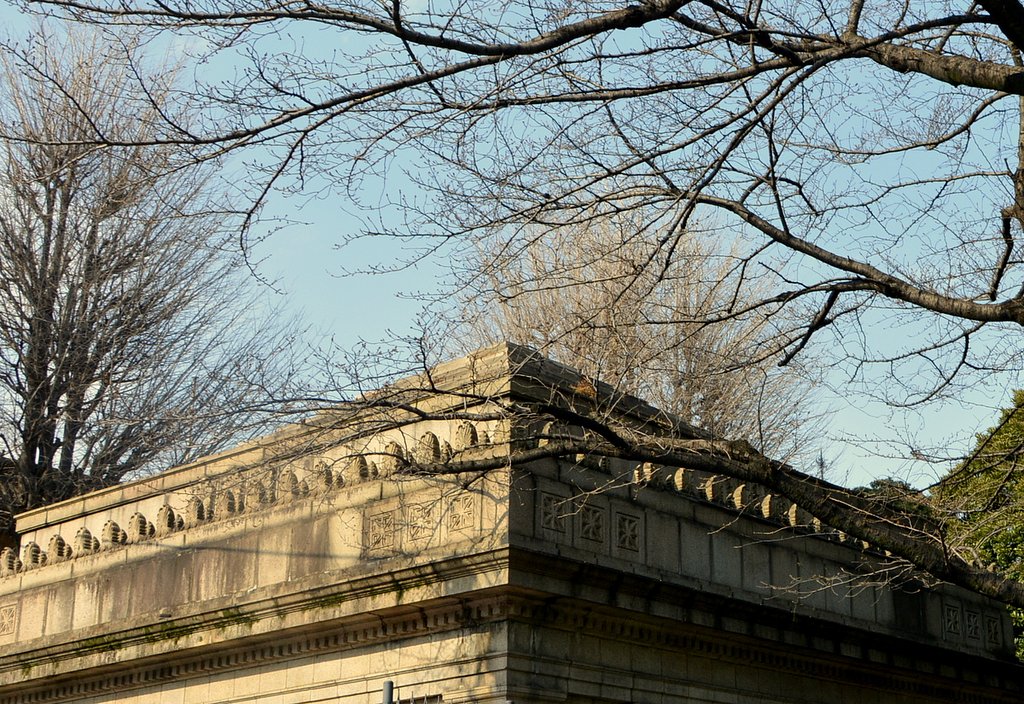 博物館動物園駅