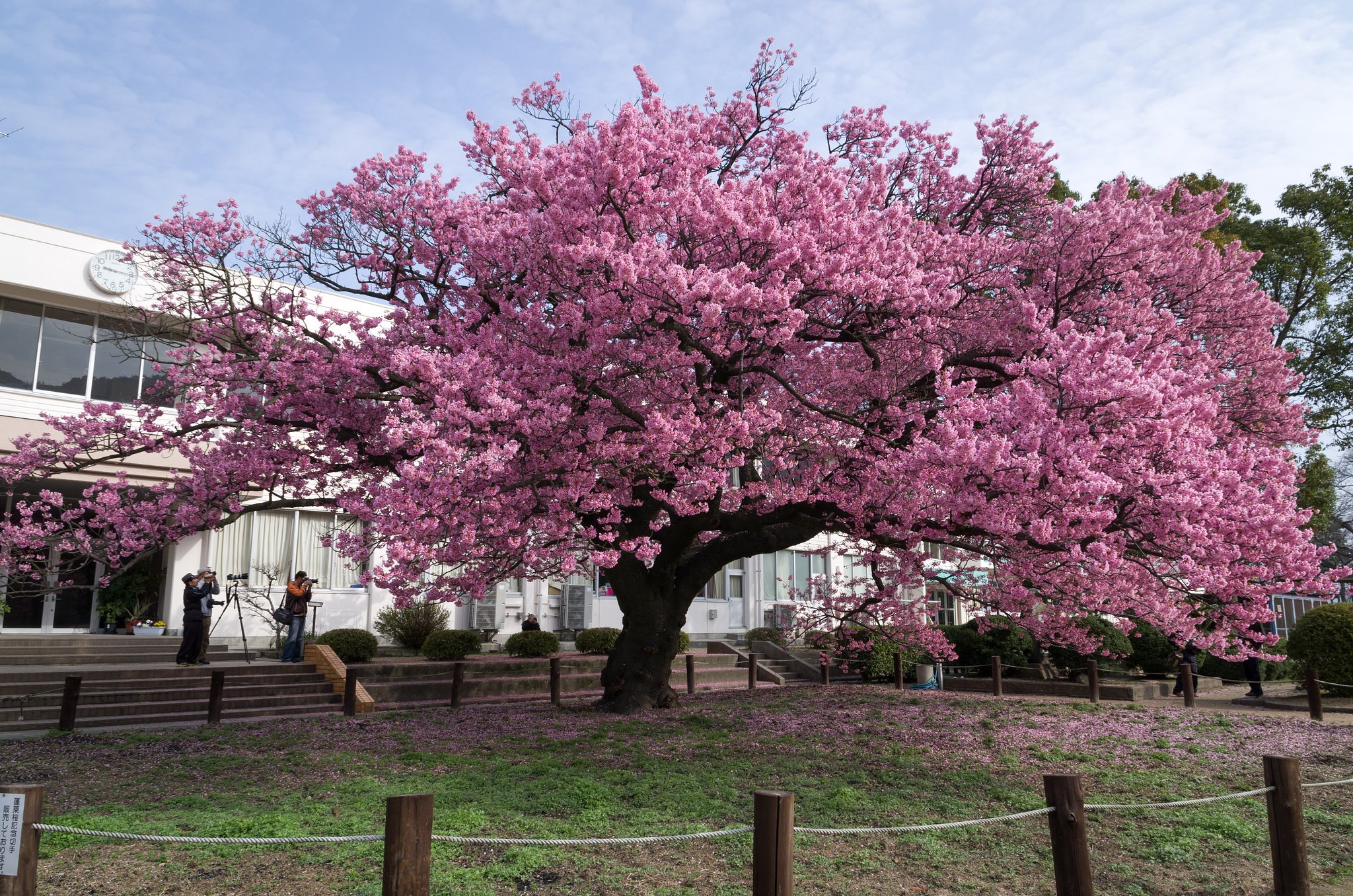 小学校