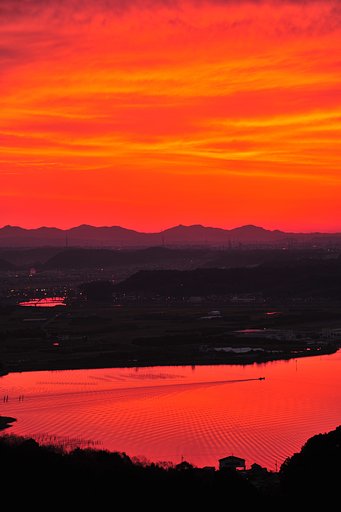 交差する赤い波模様