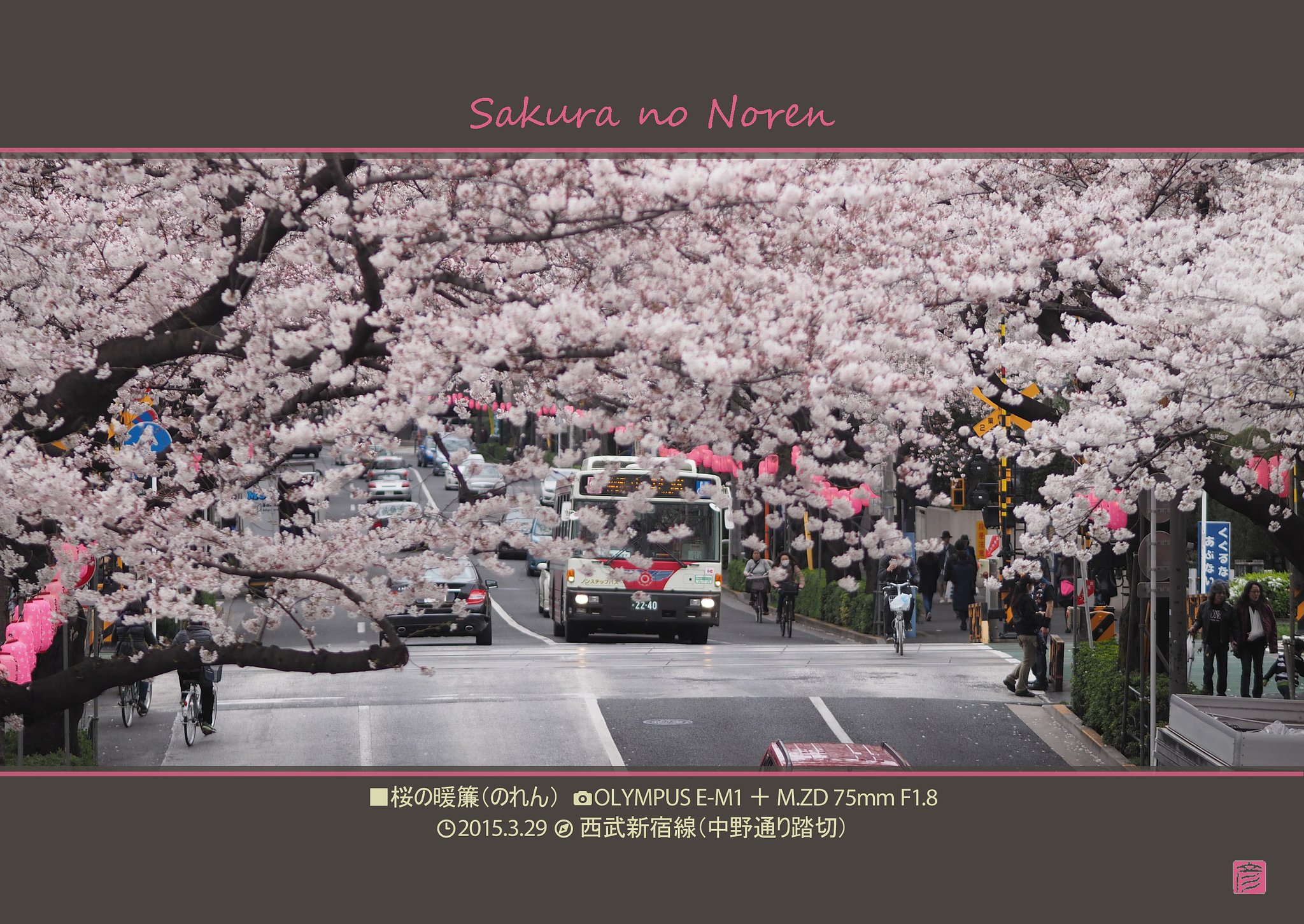 桜の暖簾