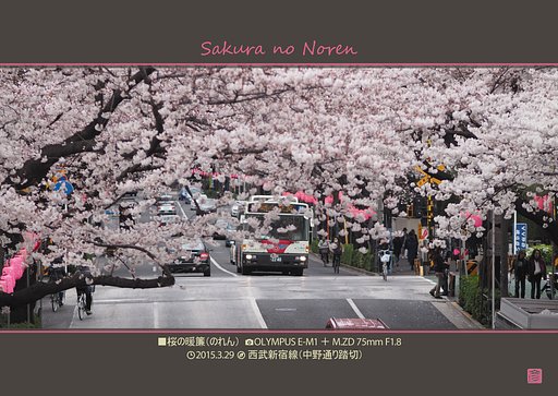 桜の暖簾