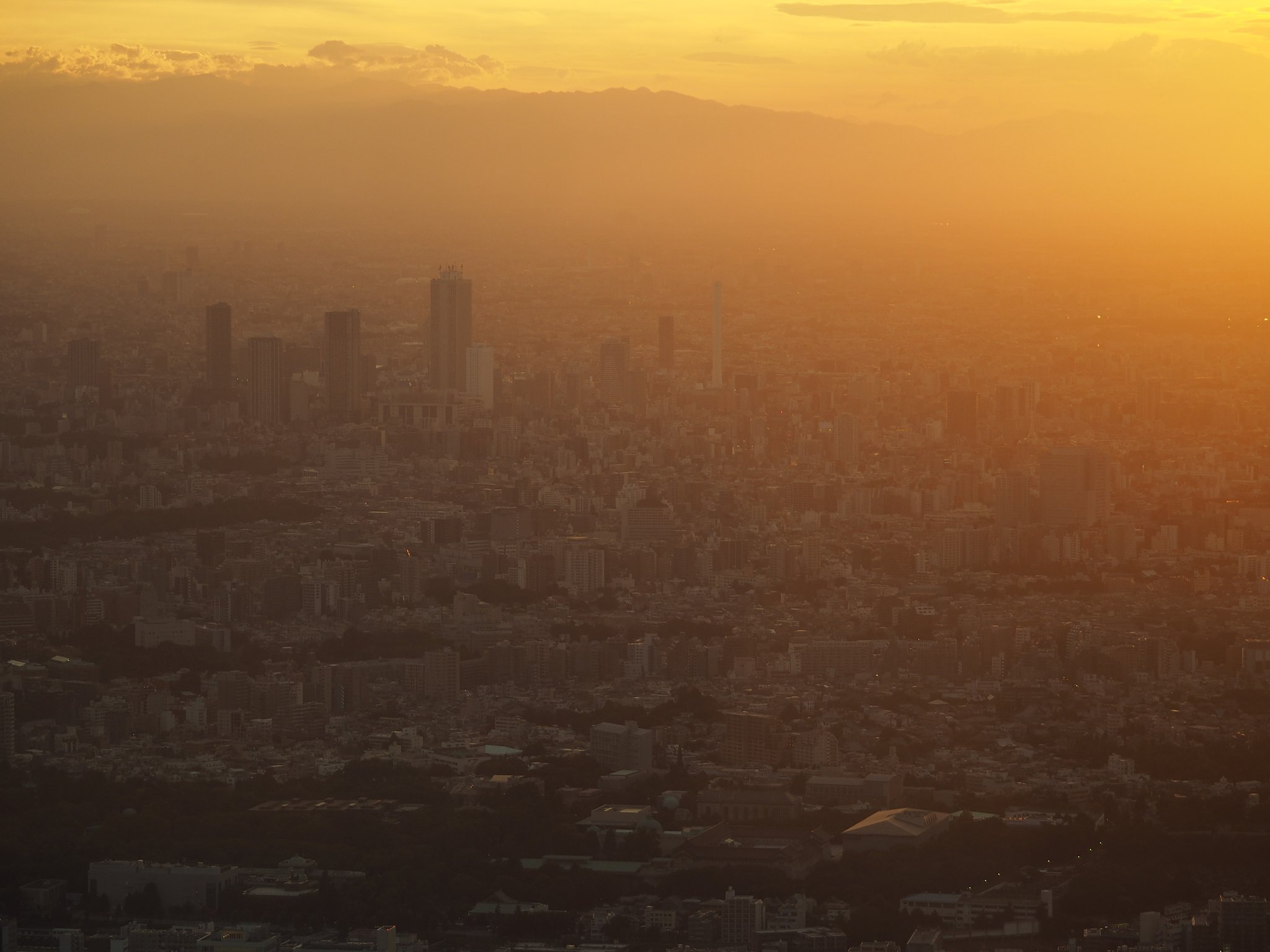 夕染めの街並み