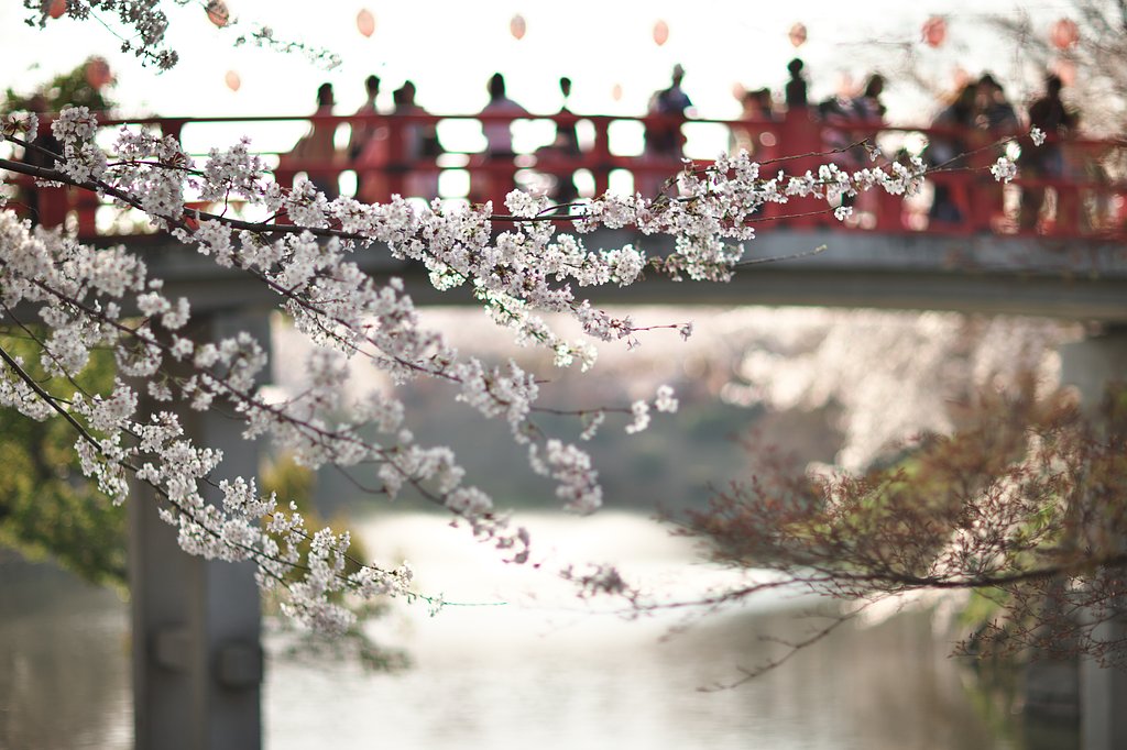 神橋にて