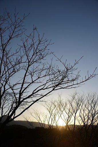 夕暮れ