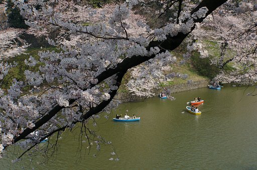 千鳥ヶ淵緑道