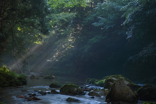 渓相を望む