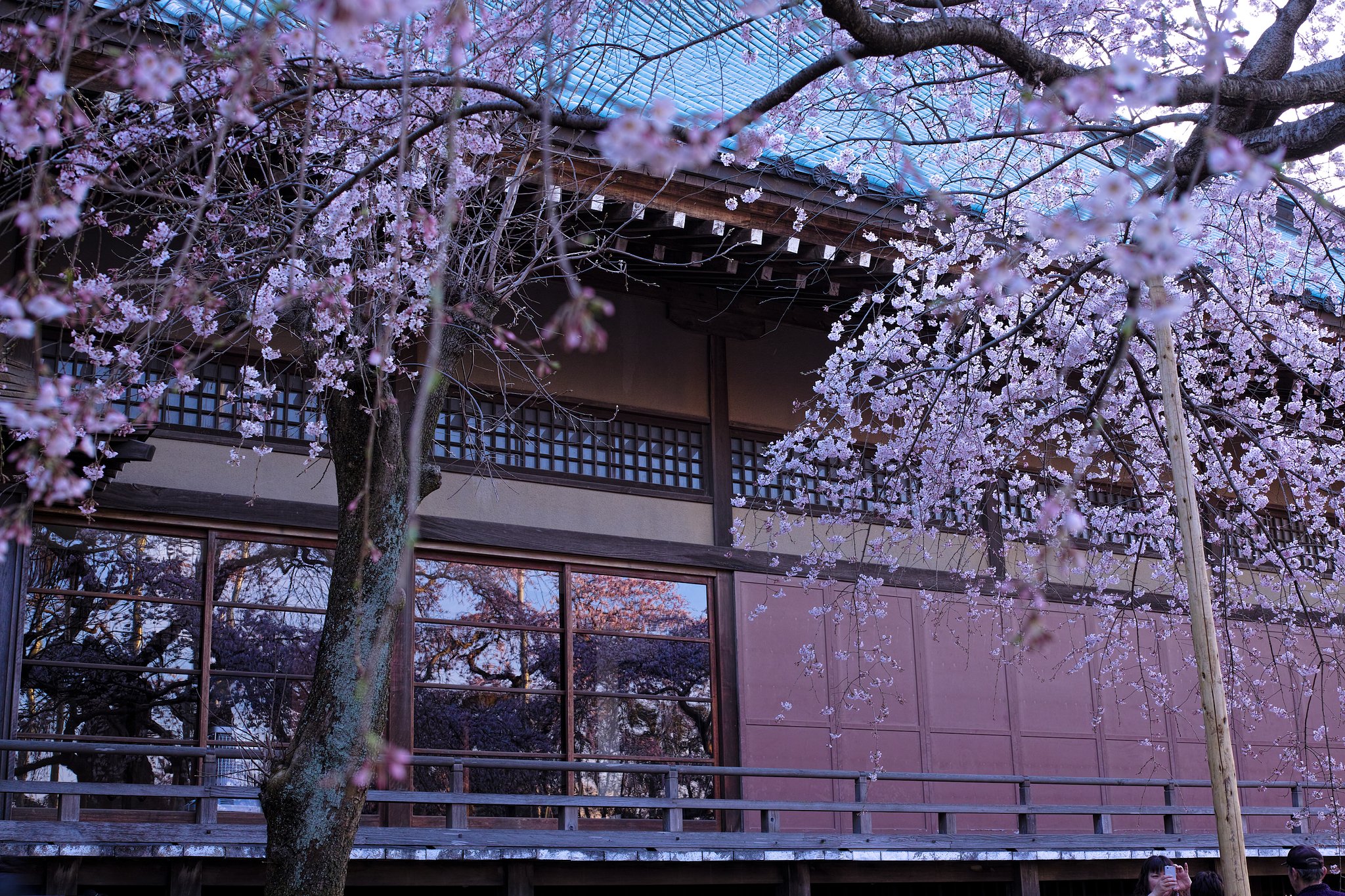 般若院