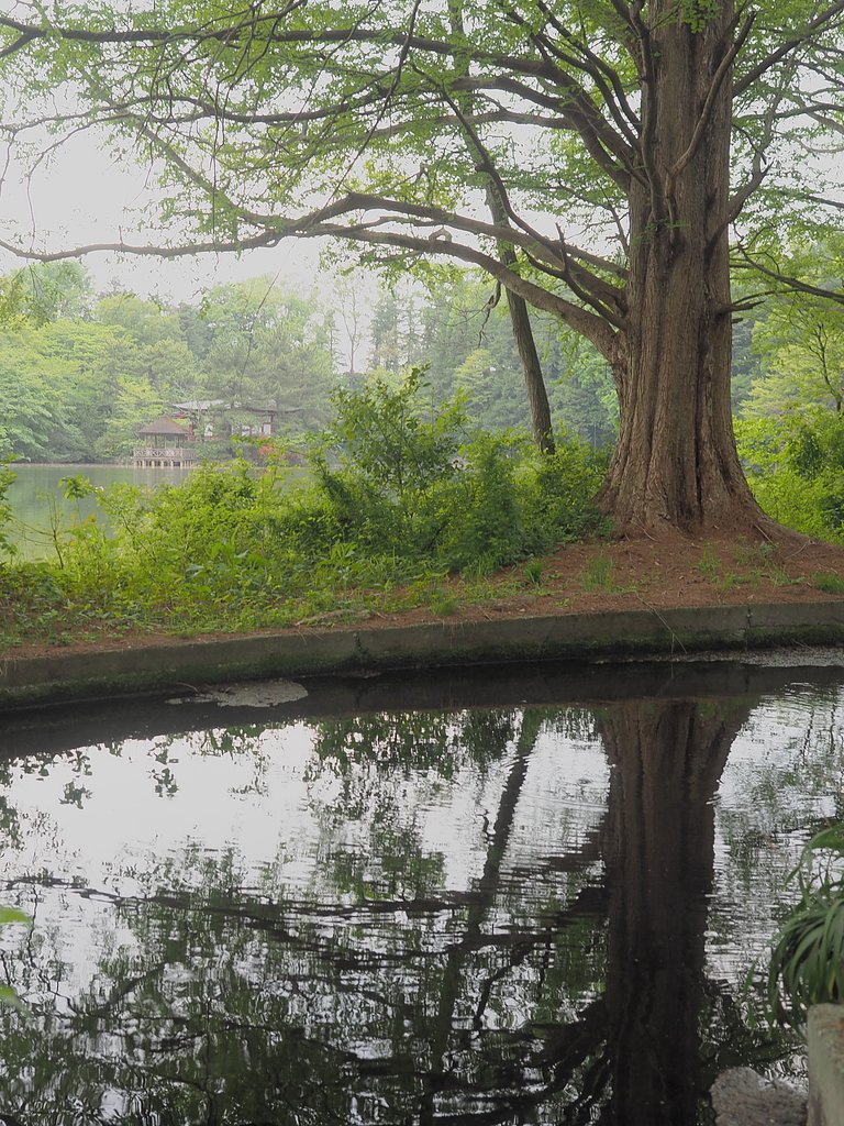 【広がり】癒しの公園