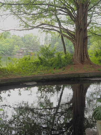 【広がり】癒しの公園