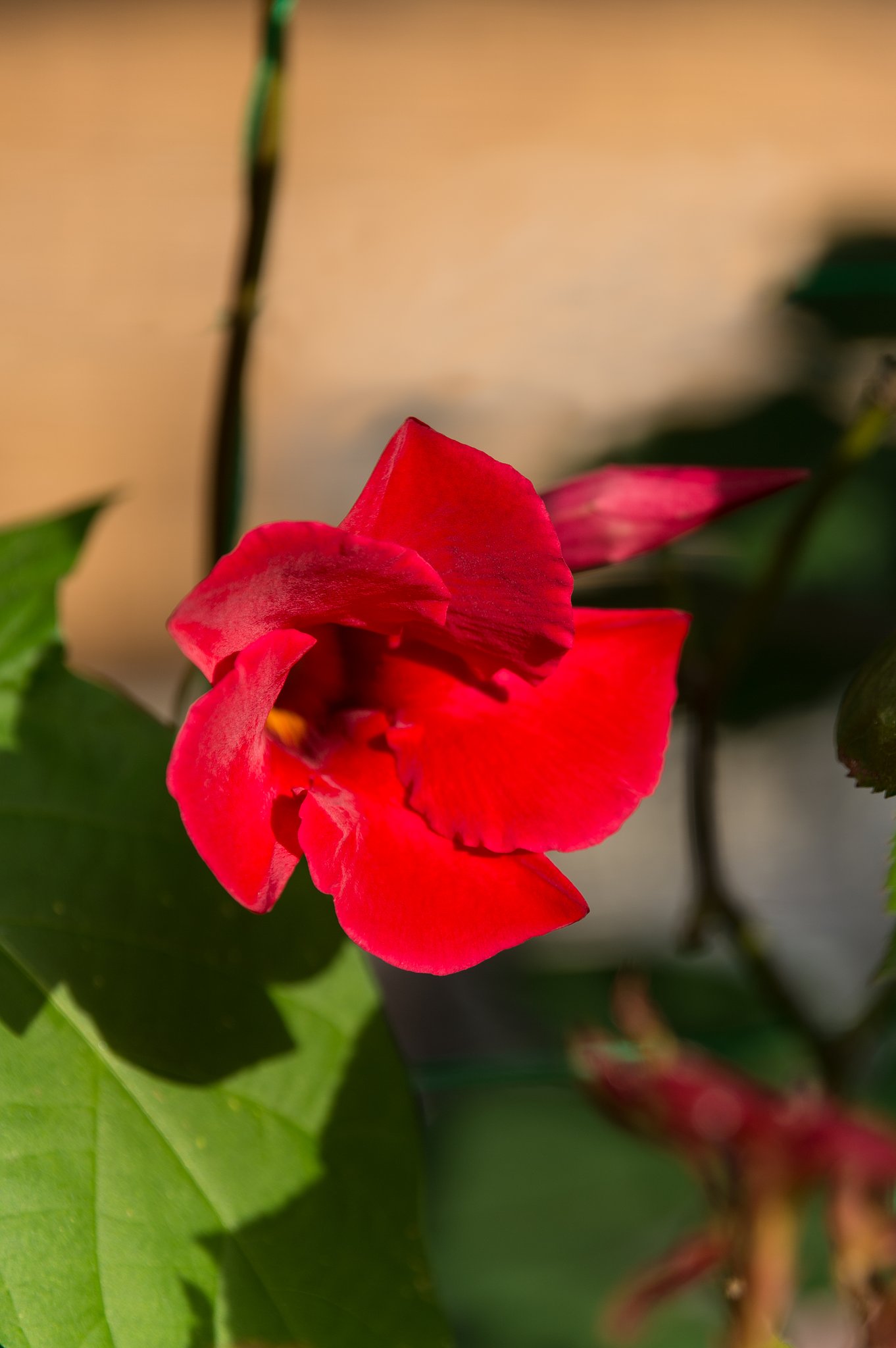 TAMRON 28-300mm F3.5-6.3 VC