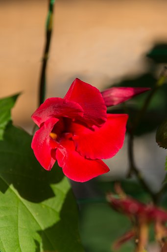 TAMRON 28-300mm F3.5-6.3 VC