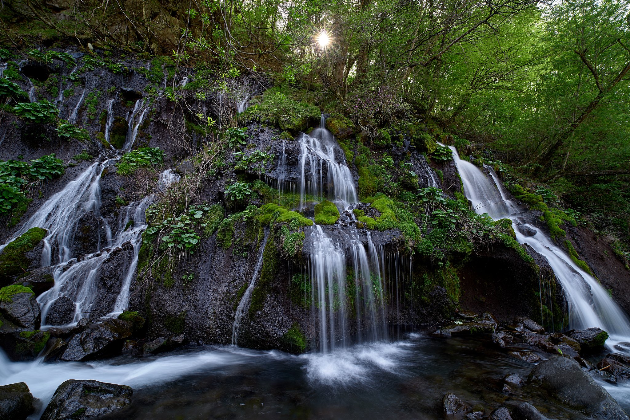 Distagon 15mm F2.8 ZF2