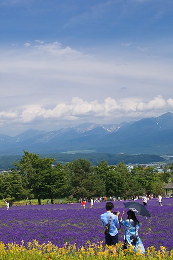 十勝連山を仰ぎ見て