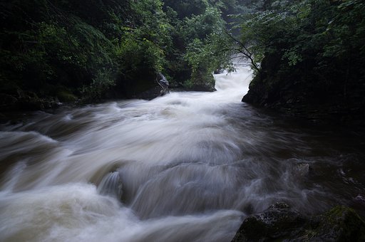 台風の後