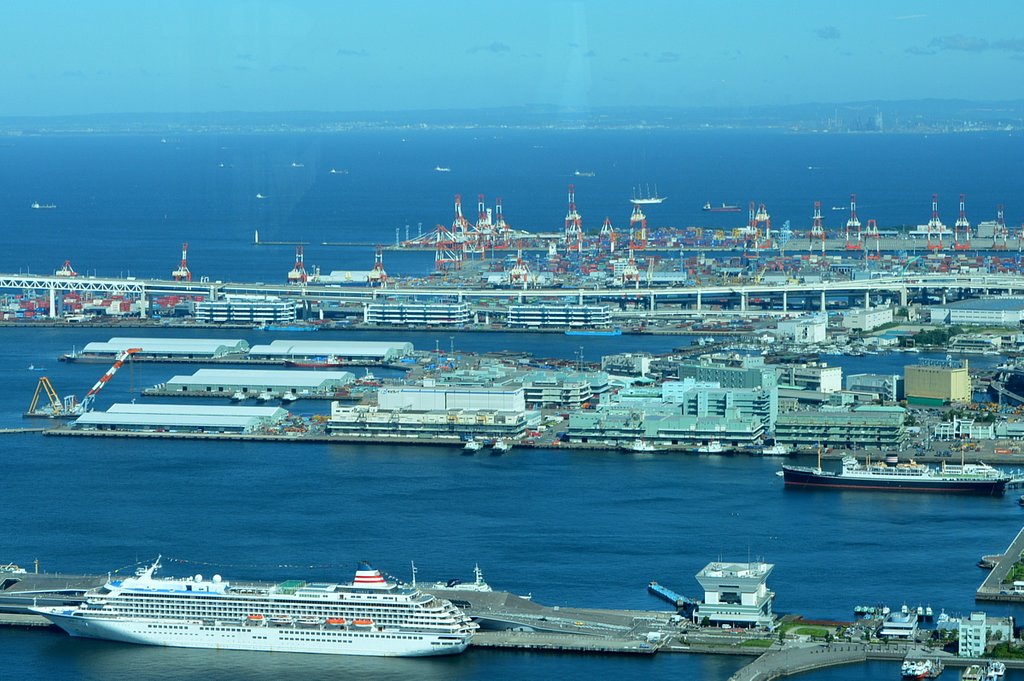 大型客船飛鳥IIと帆船海王丸