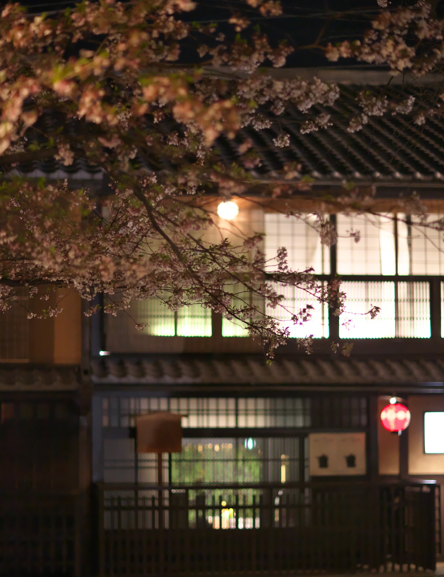 祇園白川にて