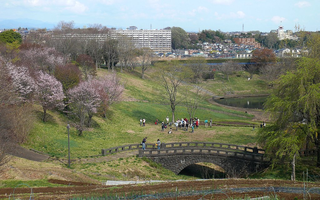 日曜日の公園