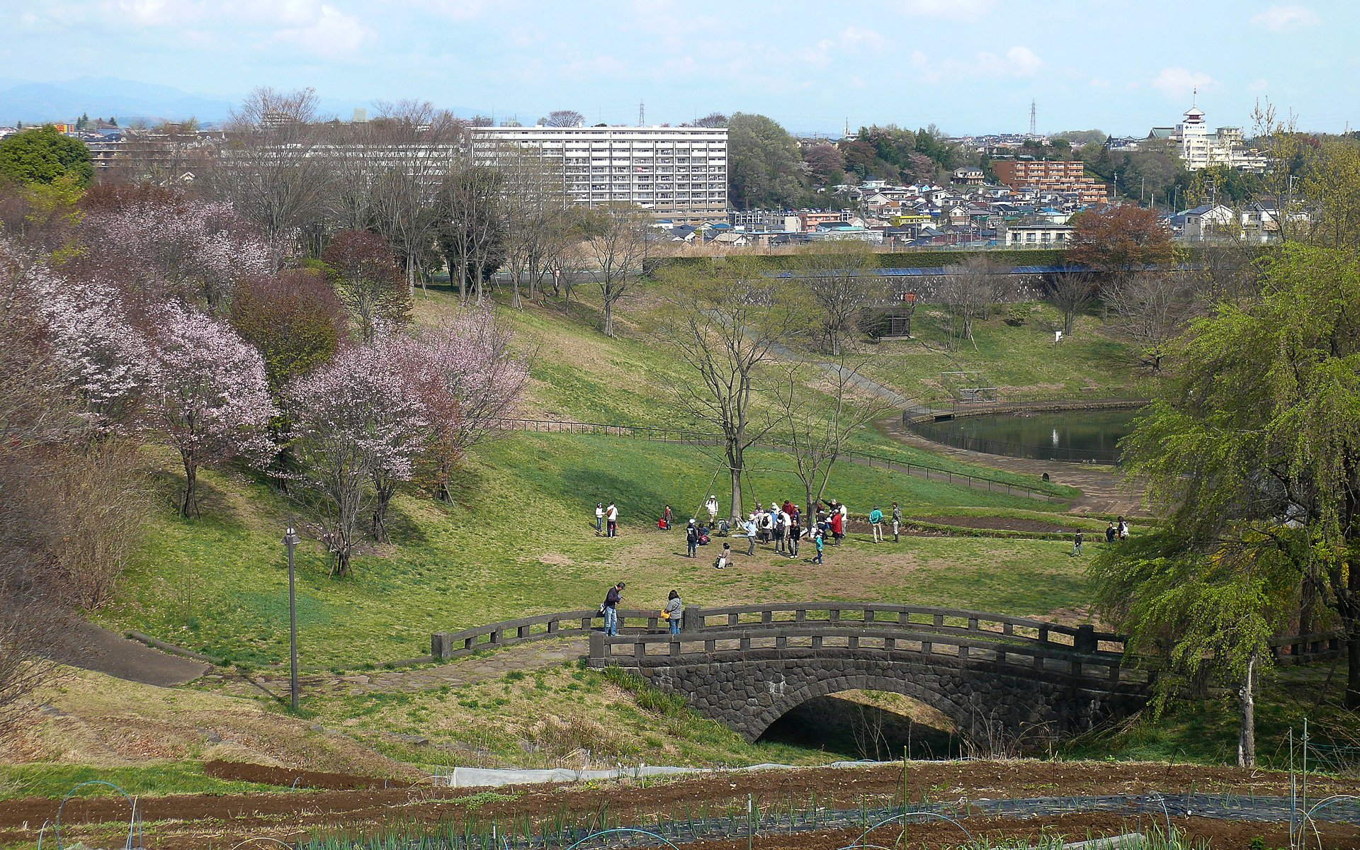 日曜日の公園