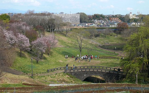 日曜日の公園