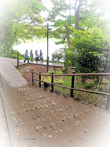坂のある風景～三宝寺池～