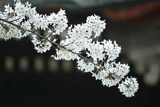 ご無沙汰しております。