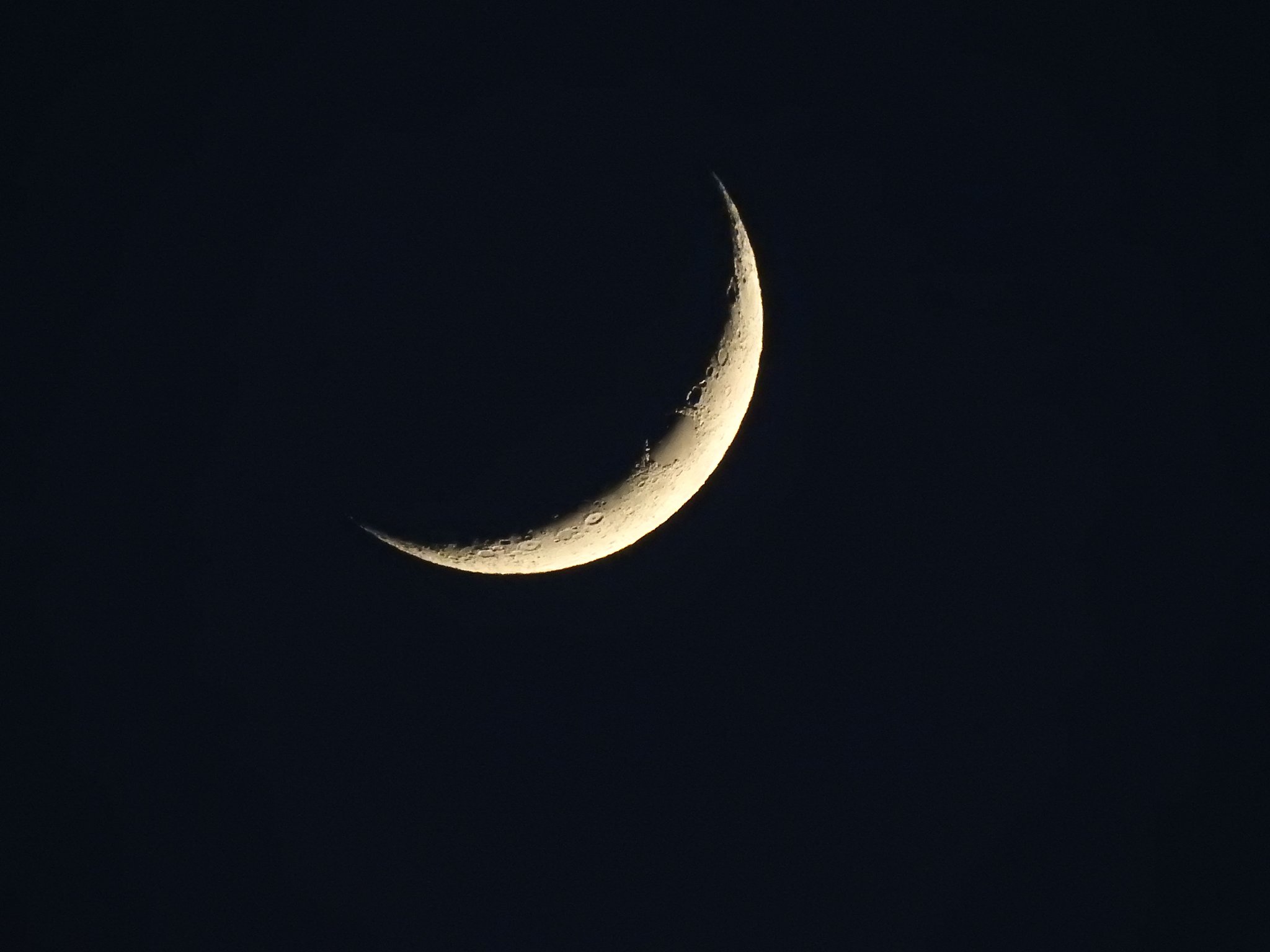 2000mm相当です。