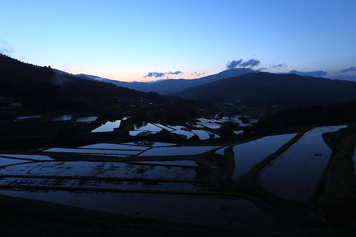 棚田は赤く染まるのか