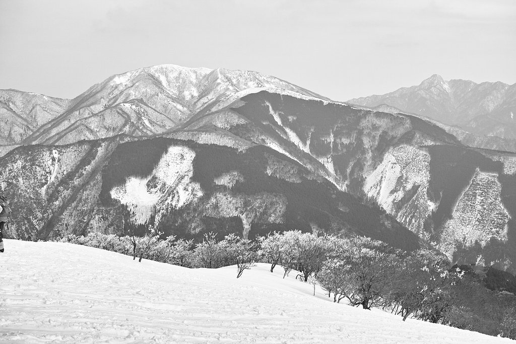 冬の景色