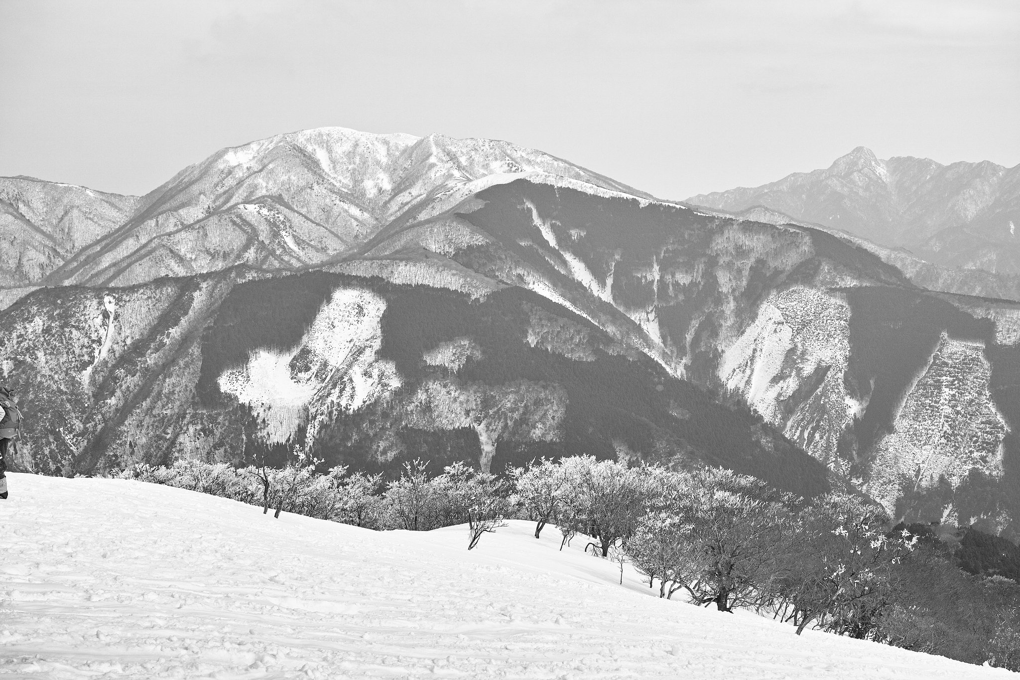 冬の景色