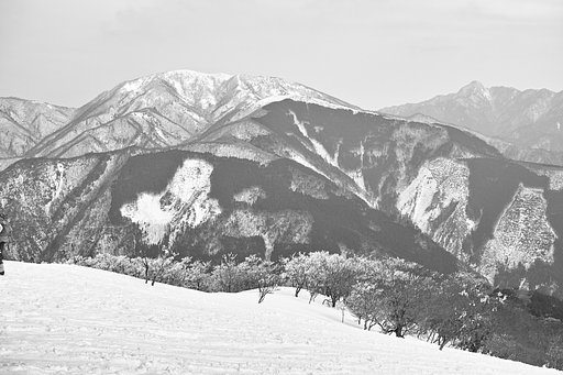 冬の景色