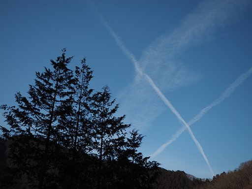 おおいなる「X」