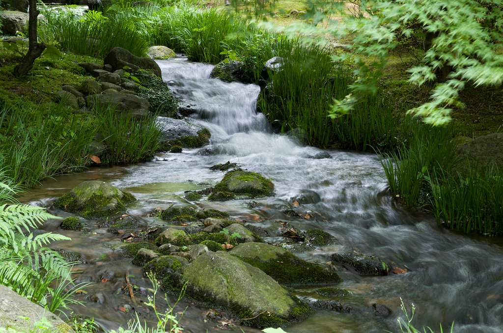 SIGMA 17-70mm F2.8-4 DC MACRO 