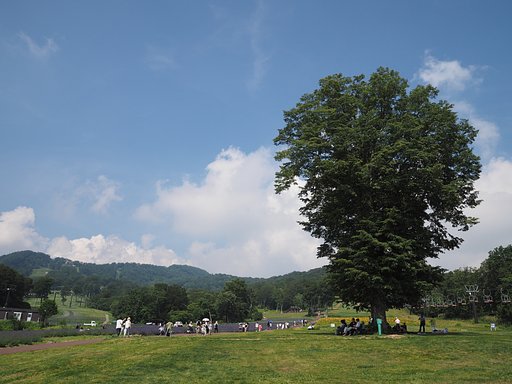 たんばら高原