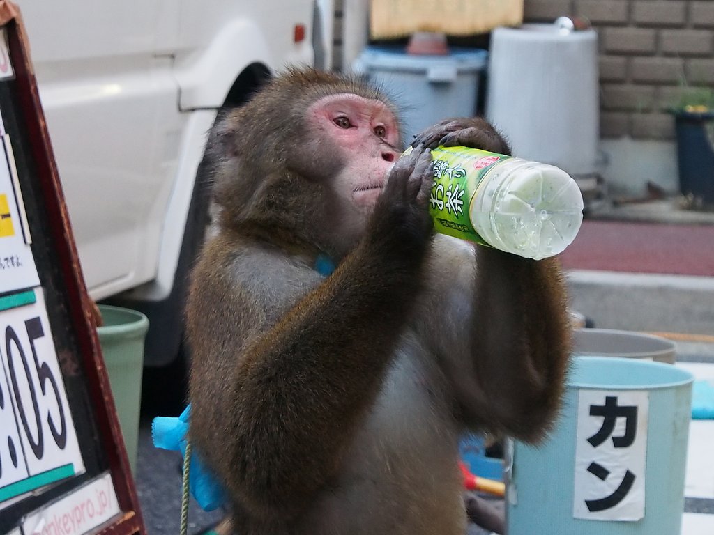 【暑】涼を取る！