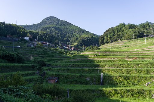 SIGMA 10-20mm F4-5.6 
