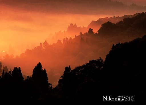 早朝の彩
