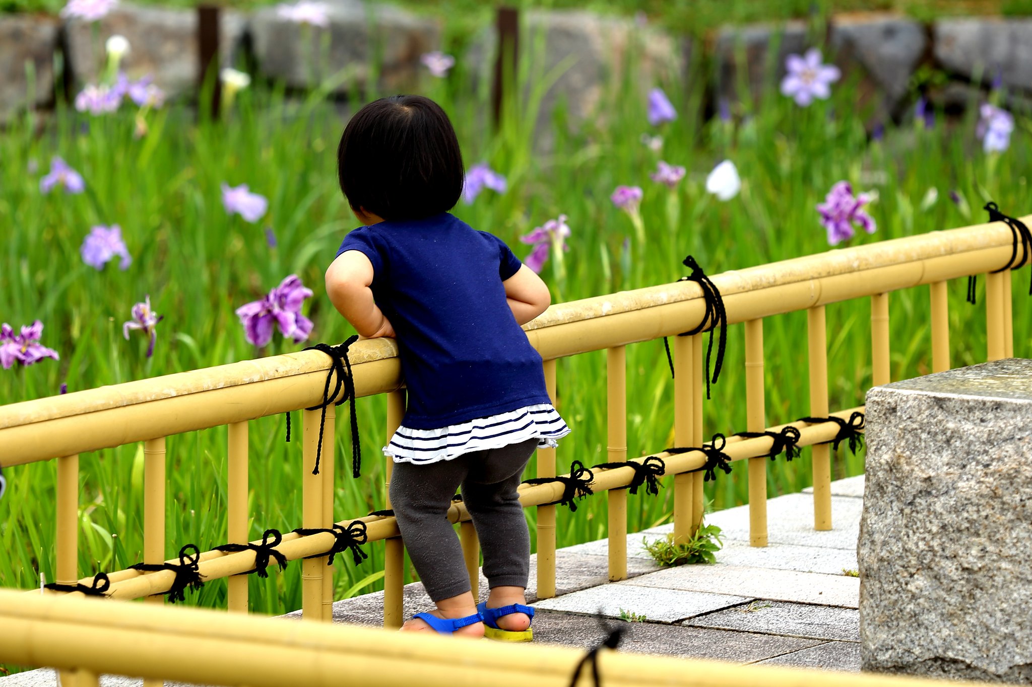 お花さん　キレイで　ちゅー